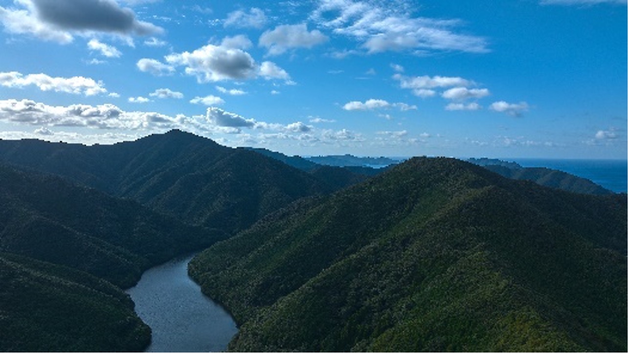 福江島の自然の写真