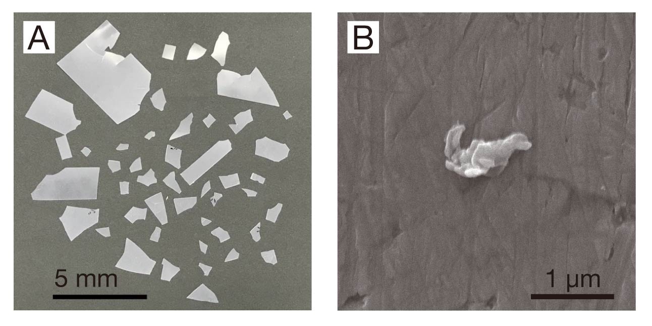 劣化・微細化試験で生成した数ミリメートル以上のプラスチック粒子と1&micro;m程度のプラスチック粒子の写真