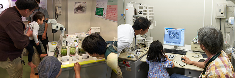 藻類の世界の魅力を堪能される様子の写真