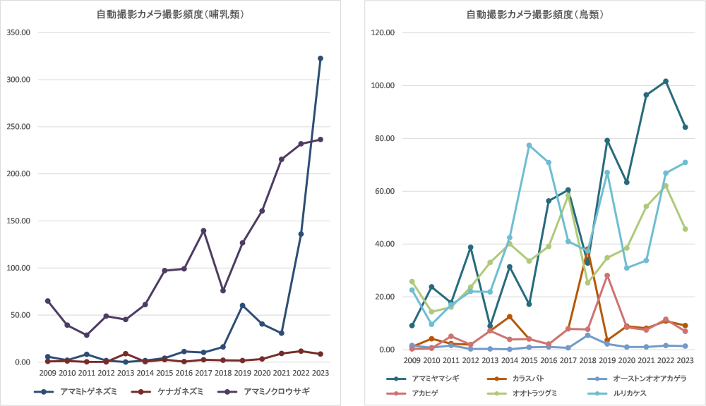 奄美マングースバスターズが実施している自動撮影カメラによる撮影頻度(1,000カメラ日当たりの撮影枚数)の推移の図