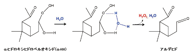 エアロゾル中でα-HHが水分子と反応し、過酸化水素(H2O2)とアルデヒドを生成するメカニズムの図