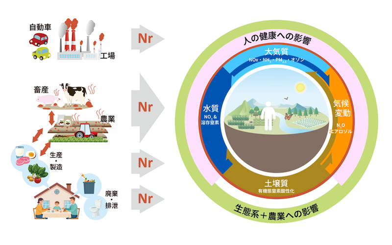 廃棄窒素の主要排出源と窒素による環境影響図